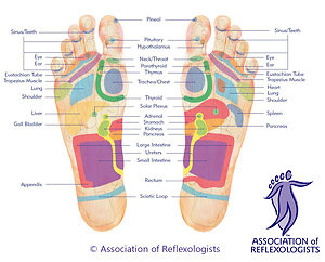 About Reflexology. footmap-plantar